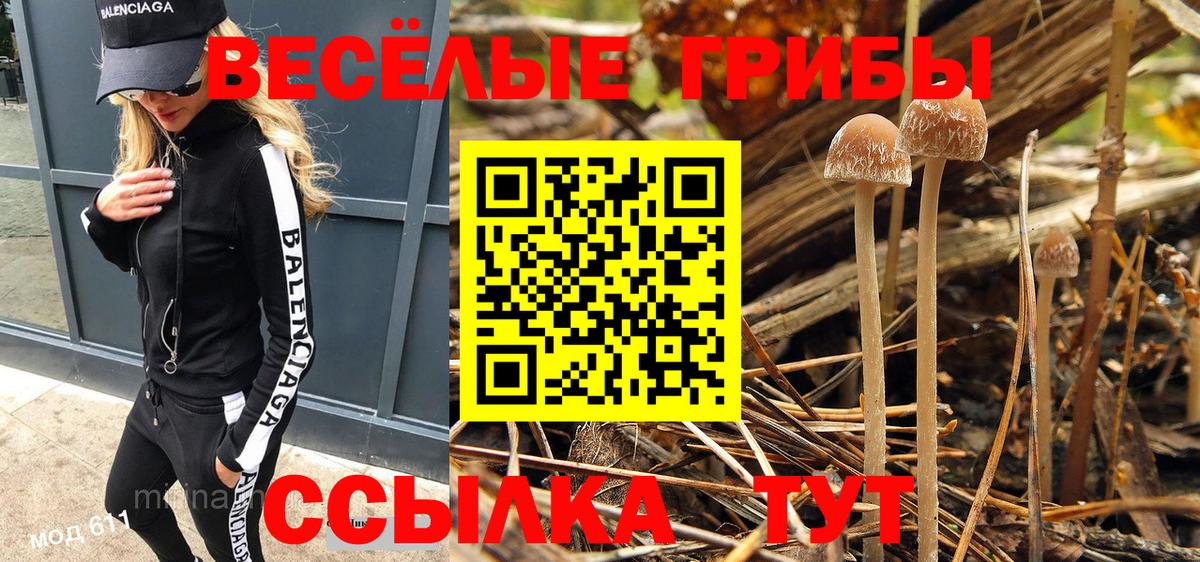 Псилоцибиновые грибы GOLDEN TEACHER  Псилоцибиновые грибы GOLDEN TEACHER  Вход с VPN  Сочи 